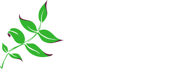 Paddington Clinic Brisbane Acupuncture